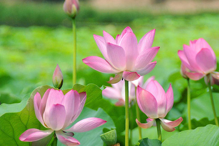 Lịch tiếp công dân Quý 4/2023 của Chủ tịch UBND Thành phố Hồ Chí Minh